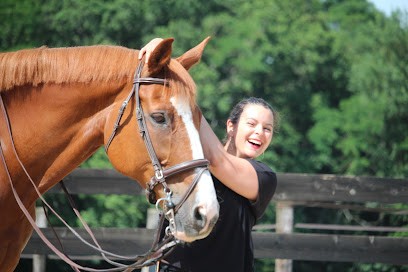Haras De Cîteaux-Ecurie Du Petit Bonheur, Centre Equestres à Saint-Nicolas-lès-Cîteaux