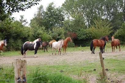 Farm Equestre Du Tréglodé, Centre Equestres à Landujan