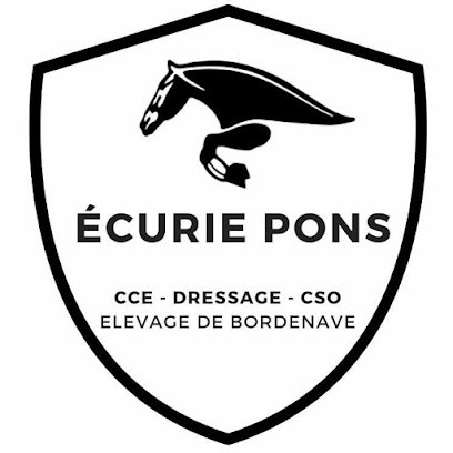 Écurie Pons - Élevage De Bordenave, Centre Equestres à Sames