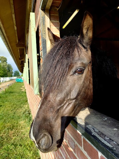 Poney Club - Haras De Jardy, Centre Equestres à Marnes-la-Coquette