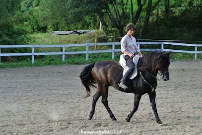 Stables Du Roc, Pension pour Chevaux à Sainte-Féréole