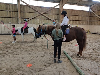 S H U DE HAGUENAU, Centre Equestres à Haguenau