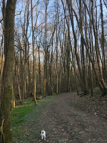 Poney Club De L’Or, Centre Equestres à Limours