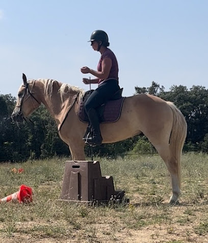 Les Chevaux Du Bois Noir Pension Pour Chevaux à Gailhan
