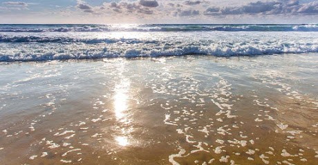 Contis Equitation Balade À Cheval In Les Landes, Centre Equestres à Lit-et-Mixe