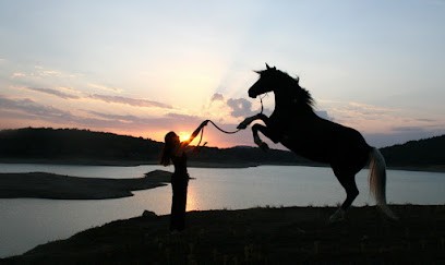 Camps D'été Equiterre, Centre Equestres à Montbel