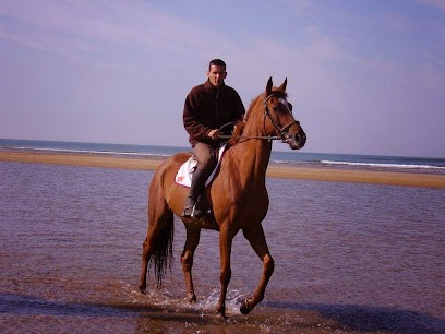 Écurie Des Grands Cailloux, Centre Equestres à Talmont-Saint-Hilaire