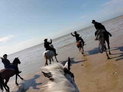Haras De La Côte D'Opale, Centre Equestres à Marck