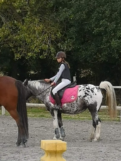 Lannion Equitation, Centre Equestres à Lannion