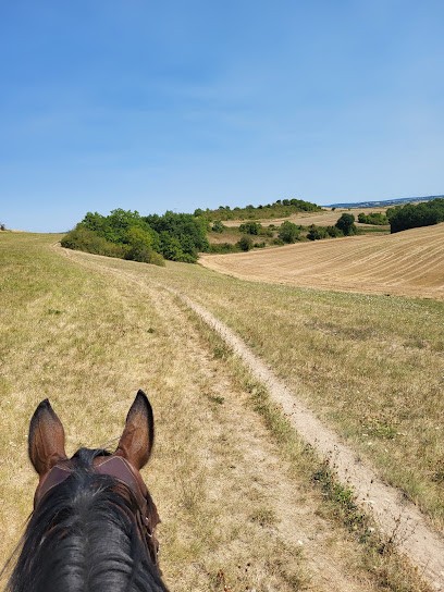 Élevage du PA, Écuries Max PERONNET, Pension pour Chevaux à Marsac