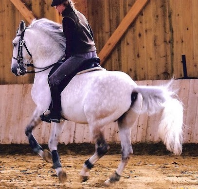 Les Ecuries De L'orée, Centre Equestres aux Grandes-Ventes