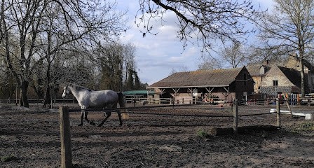 PONEY CLUB DE VILLENEUVE D ASCQ, Centre Equestres à Villeneuve-d'Ascq