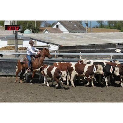 Les Ecuries Du Rechen, Centre Equestres à Uffholtz