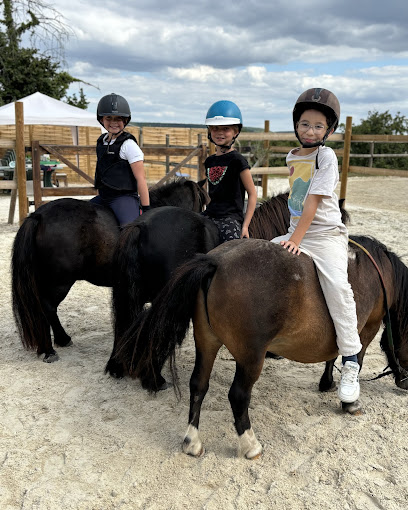Les Ecuries De St Pierre Pension Pour Chevaux à la Chapelle-Longueville
