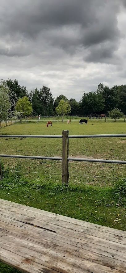 Écurie De La Paléfrie, Centre Equestres à Trayes
