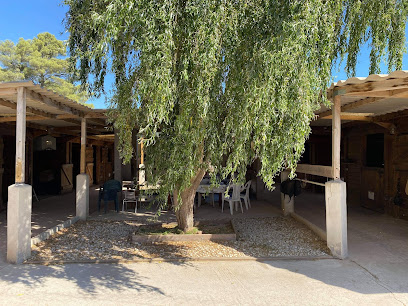 Haras Du Tyana Pension Pour Chevaux à la Crau