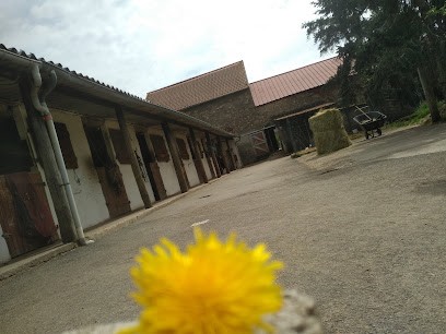 Ecurie Du Jas De Lalong, Centre Equestres à Teilhède
