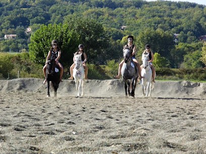 Pension équestre du Mas Nouguier, Pension pour Chevaux à Saint-Césaire-de-Gauzignan