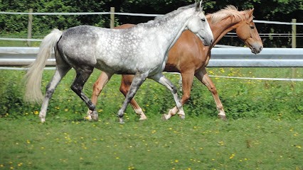 Stables Taranis, Centre Equestres à Valognes