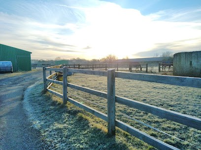 Écurie Grand Bois, Pension pour Chevaux à Vitry-aux-Loges