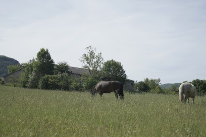 Equestrian Center De Peyre, Centre Equestres à Comprégnac