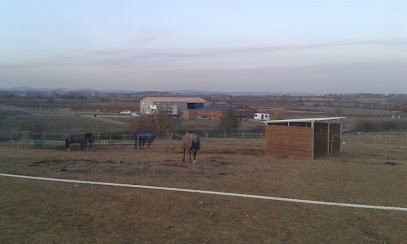 Livestock De Milt, Centre Equestres à Servian