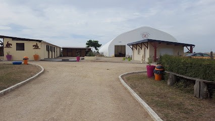 Les Crins De Derce, Centre Equestres à Dercé