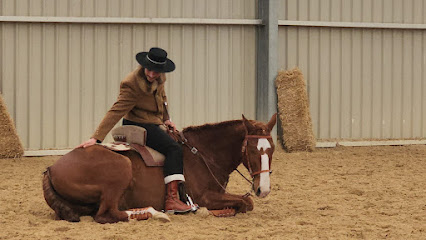 Ecurie Munoz Pension Pour Chevaux à Vauvert