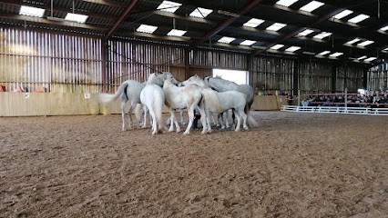 Equestrian Center De La Scie, Centre Equestres à Longueville-sur-Scie