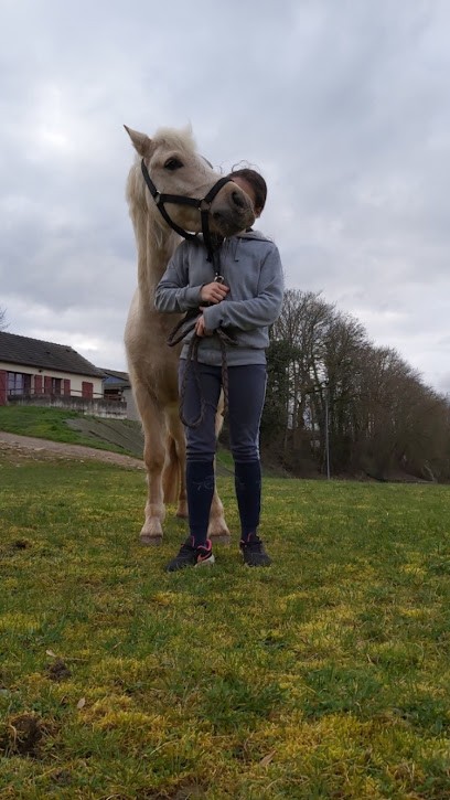 Les Écuries De Trangy, Centre Equestres à Saint-Éloi