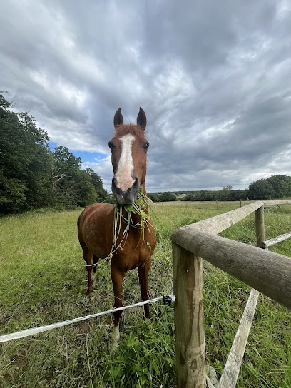 ECURIES DU BOIS JOLI, Centre Equestres à Urzy