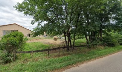 Connemara Dansant Gaec De Vacheval, Centre Equestres à Mably