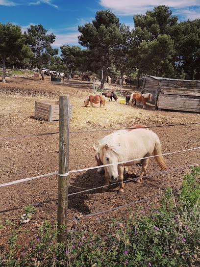 La Chevauchée, Centre Equestres à Marseille 13
