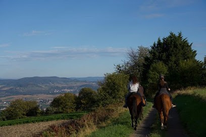 Association Dans les pas de Lola, médiation animale (Espace Equestre de Lapiota), Centre Equestres à Saint-Sandoux