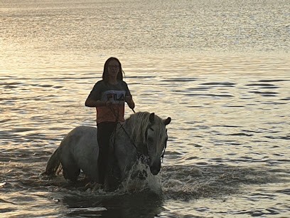 Equestrian Center & Ranch Colorado, Centre Equestres à Sainte-Marie-la-Mer