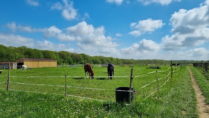 Écurie De La Vernade, Centre Equestres à Véron