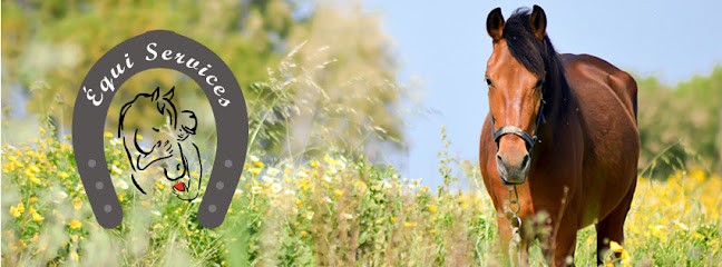 Equi Services, Centre Equestres à Saint-Jans-Cappel