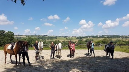 Haras Cheval Evasion, Centre Equestres à Saint-Ondras