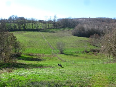 Akropol Arabians, Pension pour Chevaux à Oytier-Saint-Oblas