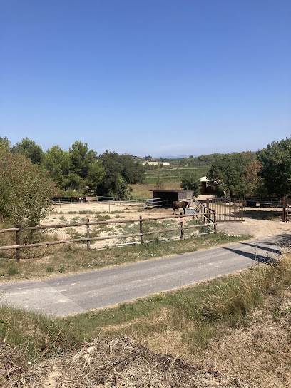 Les Écuries Du Château Paul Mas, Centre Equestres à Montagnac