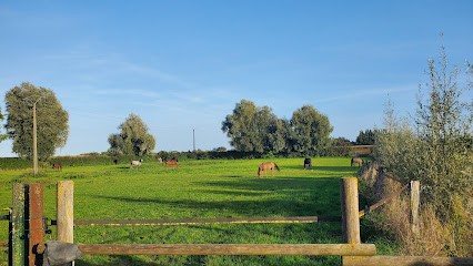 Ecurie Du Lange-Veld, Centre Equestres à Wallon-Cappel