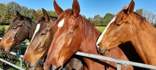 Les Écuries Du Grand Lac, Centre Equestres à Saint-Aignan-Grandlieu