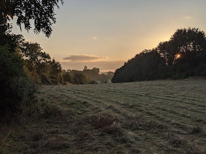 Pole Equestrian St Maixentais, Centre Equestres à Saivres