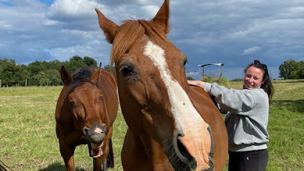 Manéqu'in Magasin D'équitation à Brissac Loire Aubance