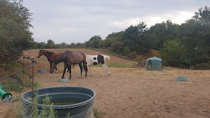 Les Écuries De Laubelle, Centre Equestres à Saint-Aubin-le-Cloud