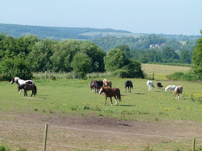 La Colline Aux Poneys, Centre Equestres à Saint-Germain-des-Grois