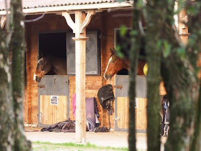 Les Écuries LBS - La Boissière Saints, Pension pour Chevaux à Amillis