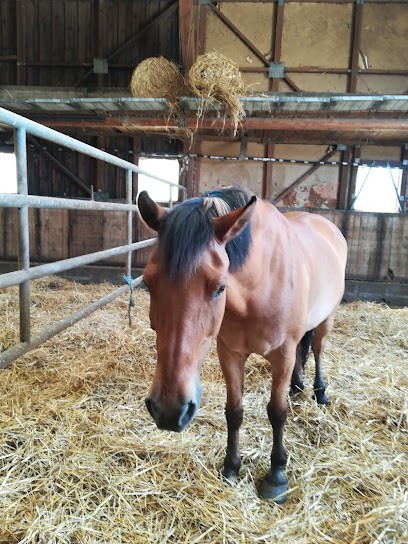 Stables Du Giessen, Centre Equestres à Ebersheim