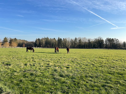 Domaine Des Cinq Sens, Pension Pour Chevaux à Basseneville
