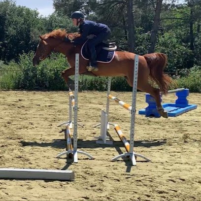 écurie Des Varennes, Pension pour Chevaux à Braslou